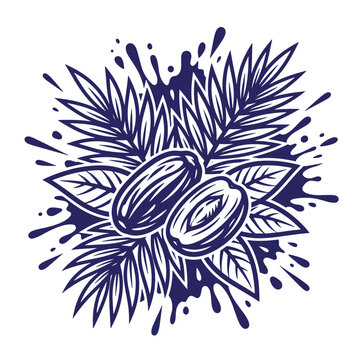 Hand drawn of whole and sliced dates with palm leaves and ink splash effects on at-shirt poster white background, dark blue monochrome style for food packaging or menu, composition