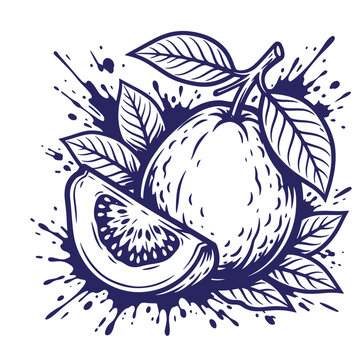 Detailed ink of a whole guava and a cut slice with foliage, rendered in a dark blue color on a white background, with dynamic paint, splatters, culinary branding, or food t-shirt, poster