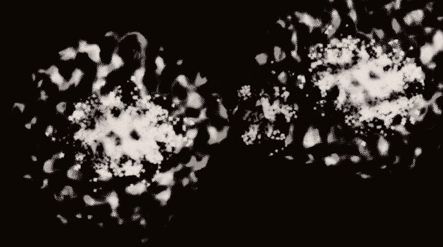 A detailed digital illustration featuring two glowing white nebula clusters with a soft grainy texture set against a deep solid black background for artistic projects.