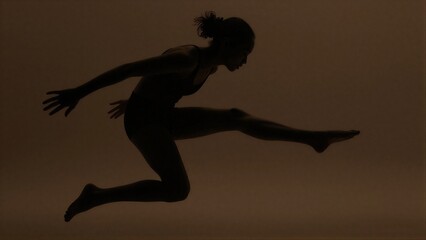 Obraz premium Silhouette of dancer mid-leap against warm, hazy background.