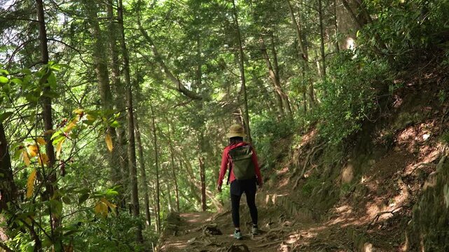 高尾山の四号路を歩く女性の後ろ姿のトラッキングショット