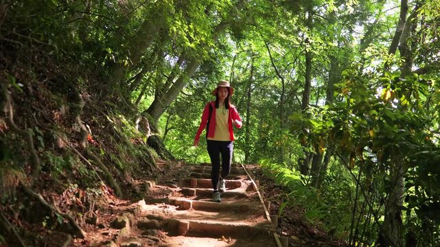 高尾山の4号路を歩く女性のトラッキングショット