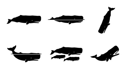 Fototapeta premium Sperm Whale Silhouettes, Marine Mammal Vector Icons, Ocean Wildlife Collection, Nautical Design Elements