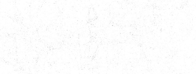 Fototapeta premium Panoramic Subtle Grunge Texture Vector Background with Fine Black Speckles and Grainy Distressed Surface