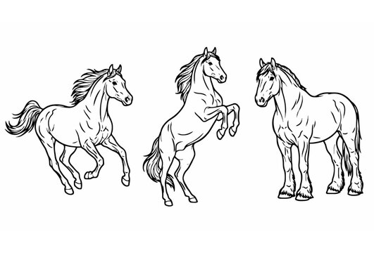 Hand drawn beautiful horses vector illustration set featuring running rearing wild mustang and standing powerful draft horse isolated on white background,