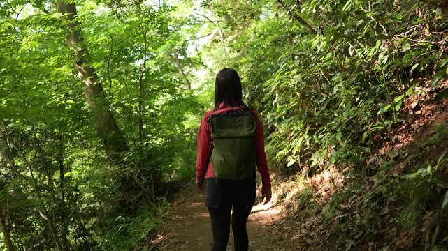 高尾山の四号路を歩く女性の後ろ姿のトラッキングショット