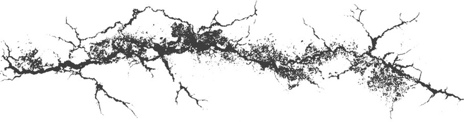 Fototapeta premium Horizontal Black Grunge Crack Vector Illustration with Branching Fissures on White Background