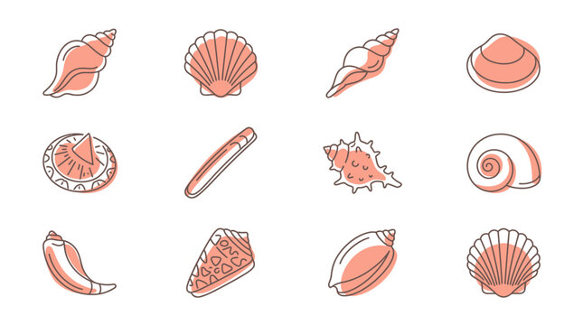 Seashell Collection Icon Set: Marine Life, Ocean, Beach, Summer Graphics