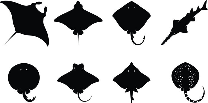 Collection of black ray and sawfish silhouettes including manta stingray and eagle ray icons isolated on white background