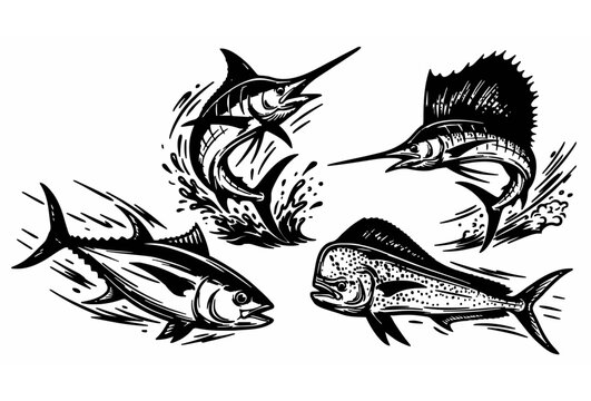 Black and White Hand Drawn Sketch Illustration of Blue Marlin Sailfish Tuna and Mahi Mahi Deep Sea Sport Fishing Fish