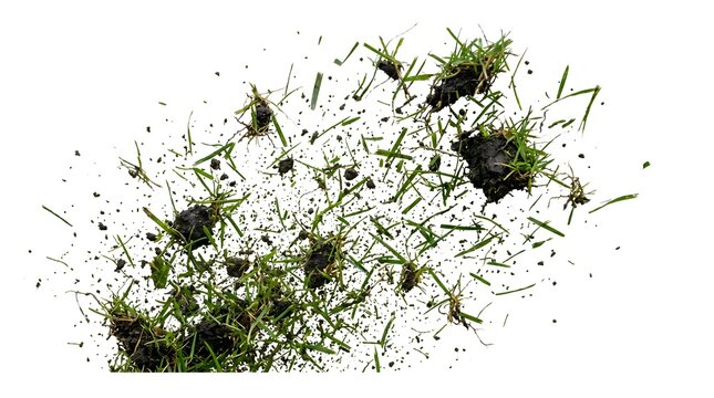 Fresh green grass clumps and dark soil particles flying through the air in a dynamic explosion isolated on a clean white background for design projects