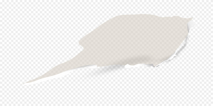 Ultra violet torn paper with ripped edges and rooled up sides, round shaped hole isolated on transparent background realistic