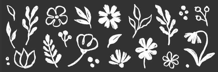 Brush flower leaf paint set. Hand drawn brush flower leaf floral stroke sketch plant doodle nature. Chalkboard blackboard botanical daisy poppy leaves herb summer background. Vector illustration © Polina Tomtosova