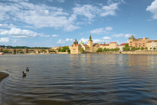 Wide angle landscape of the Vltava River waterfront in Prague with mallard ducks swimming in the calm water under a blue sky.