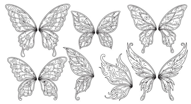 Collection of butterfly wings line art illustrations with butterfly ethereal delicate monochrome