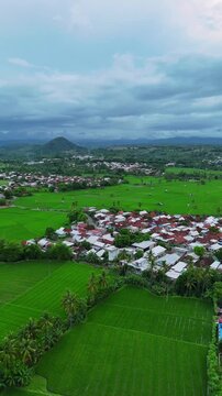 Aerial Panorama of Traditional Village Settlement in West Nusa Tenggara Indonesia