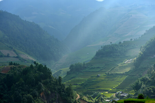 Misty Mountain Valley Sunrise: A serene misty valley bathed in the soft light of sunrise, with rolling hills covered in lush vegetation and terraced fields.