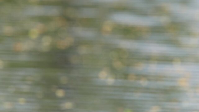 background of green water ripple, calm pond with beautiful reflection on water, abstract green wave, natural ripple background