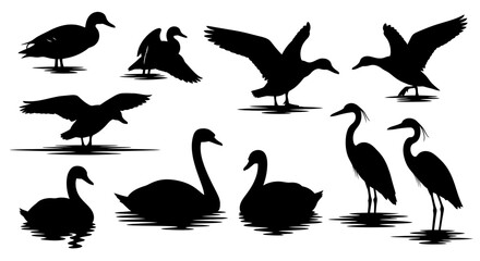 Silhouettes of various waterbirds including ducks swans and herons in different poses © Pabitra