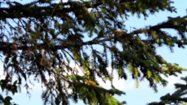 ZAGREB, CROATIA - JULY 12 2017: Church of St. Francis. Fir tree in foreground. Removing camera. Spire with arrow and circle. Panoramic View-Point of Zagreb City.