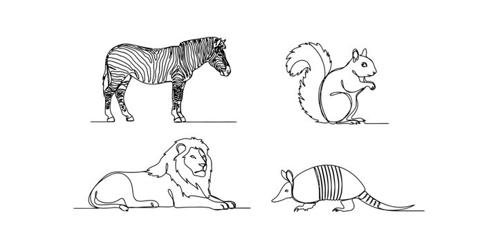 Set of four hand drawn wild animals including a zebra a squirrel a lion and an armadillo in a simple line art style Vector, illustration