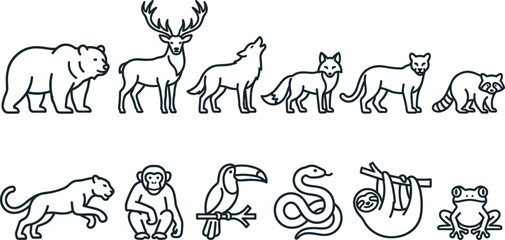 Fototapeta premium Forest Wildlife Animal Outline Illustration Set Featuring Bear Deer Wolf Fox Cougar Raccoon Monkey Toucan Snake Sloth and Frog Vector Collection