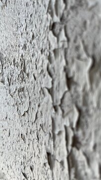 Abstract gray peeling paint texture background with shallow depth perspective. Selective focus background of white paint falling off. 16-9 Format. Selective focus of flaking white paint background.
