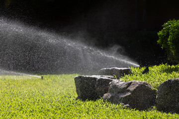 Fototapeta premium Sprinkler watering vibrant grass under sunny sky