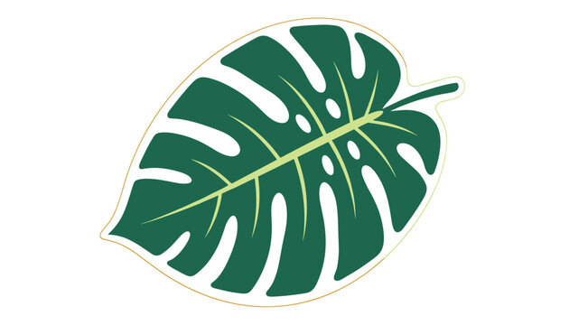 Dark green tropical monstera leaf with a thin gold border outline isolated on a clean white background illustration.