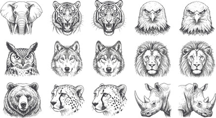 Vintage Hand Drawn Wildlife Animal Head Illustration Set Featuring Elephant Tiger Eagle Owl Wolf Lion Bear Cheetah and Rhinoceros Engraving Vector Collection © MstSuborna