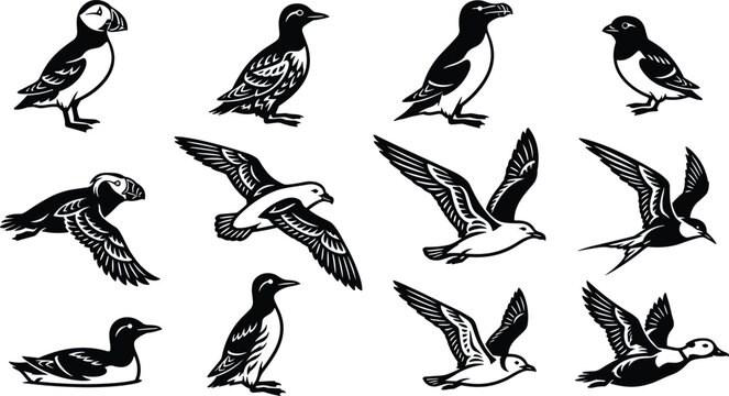 Atlantic Seabirds Silhouette Vector Set Featuring Puffin Guillemot Razorbill Gannet Seagull Tern and Kittiwake Marine Coastal Bird Icons