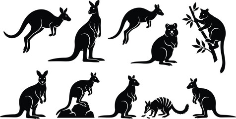 Australian Kangaroo and Macropod Silhouette Vector Set Featuring Jumping Wallaby, Quokka, Tree Kangaroo, and Numbat Graphic Design Icons © Ruhul
