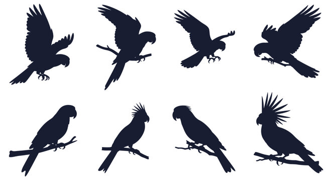 Silhouettes of various parrots perched and flying against a white background showcasing bird shapes wing positions and feather details in a dynamic composition