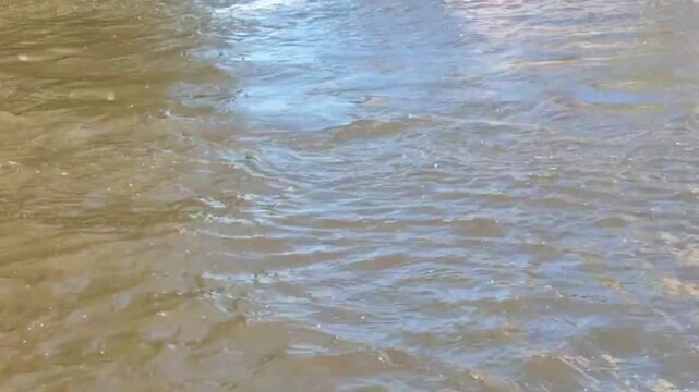 Serene Gentle Ripples on Murky Water Surface - Tranquil River Texture Background
