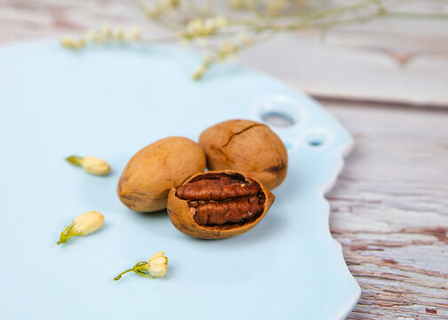 Cracked Pecan Nuts on White Porcelain Plate
