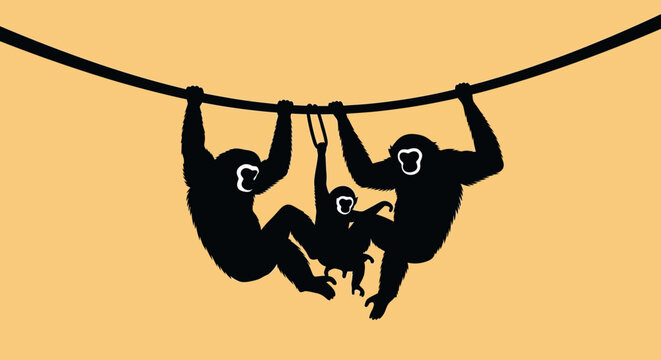 Family of monkeys hanging from a rope.