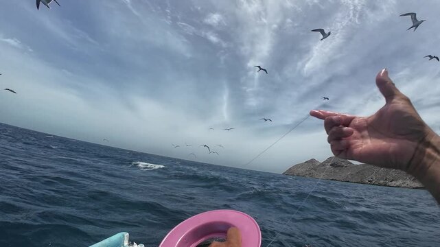 POV shot of a fisherman using a pink hand reel while seagulls circle above, capturing the authentic experience of traditional coastal fishing.