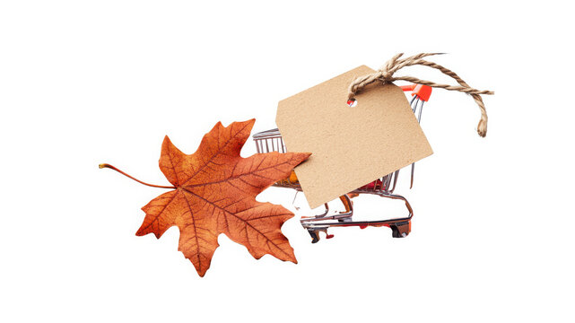 Shopping cart miniature accompanied by an autumn leaf and a blank kraft paper tag illustrates the concept of seasonal retail shopping and promotional events for consumer goods businesses.
