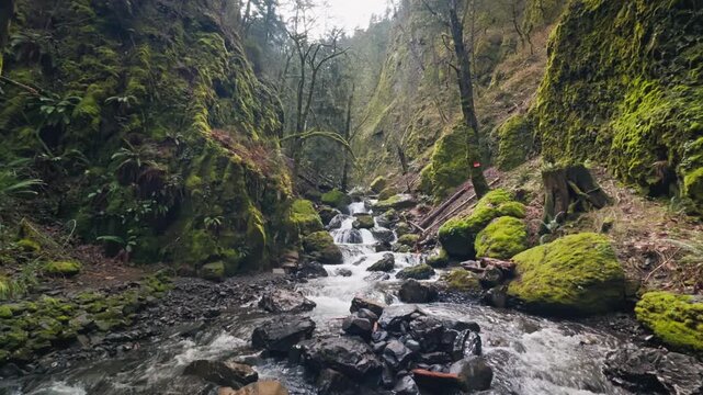 Wide rocky creek and cascades flowing between vibrant moss covered canyon walls