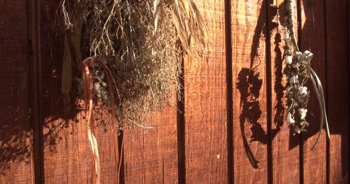 Natural botanical ingredients drying on rustic wood for sustainable sourcing
