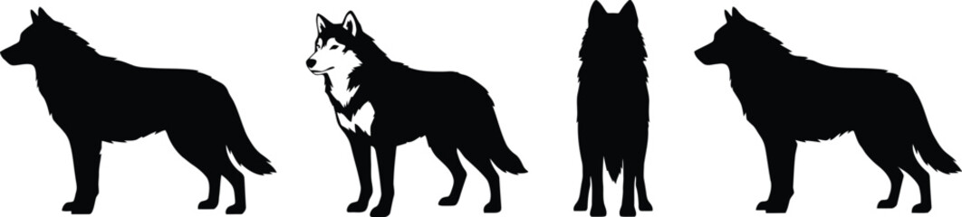 Black silhouettes of horses in various poses against a white background equestrian animal mane © MD. HASAN ALI