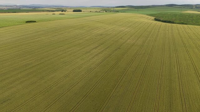This aerial shot captures expansive green agricultural fields in rural Hungary, highlighting the intricate cultivation patterns and the serene natural beauty.