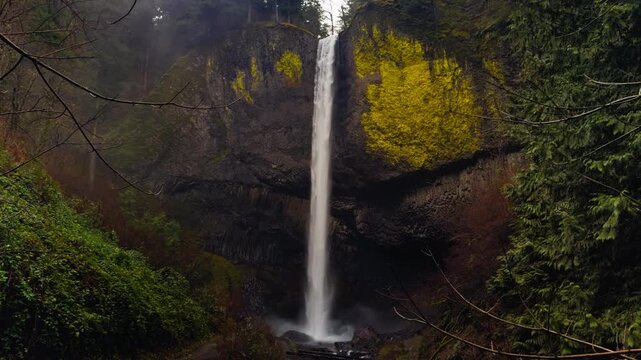 Latourell Falls dropping into misty basin beneath basalt amphitheater, establishing static wide frontal