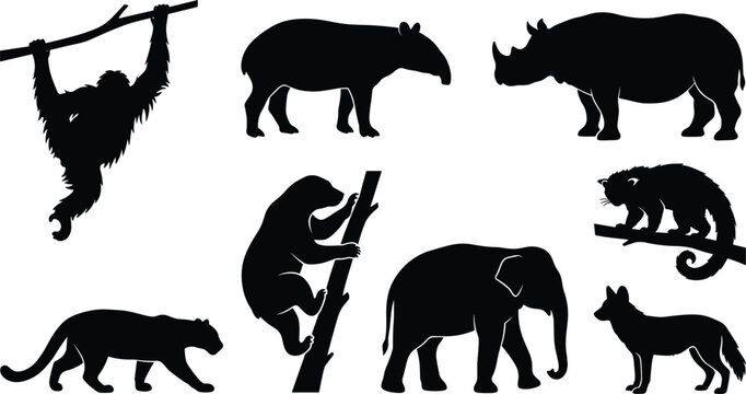 Southeast Asian Jungle Wildlife Silhouette Vector Set Featuring Orangutan Malayan Tapir Javan Rhinoceros Sun Bear Elephant Leopard and Binturong Icons