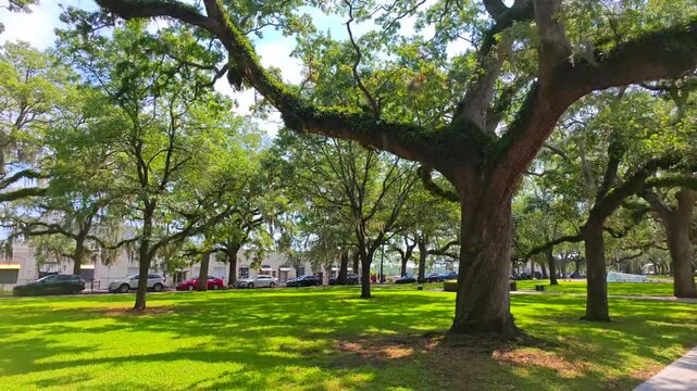 Stock footage Emmet Park 2026 motion video 4k 60fps