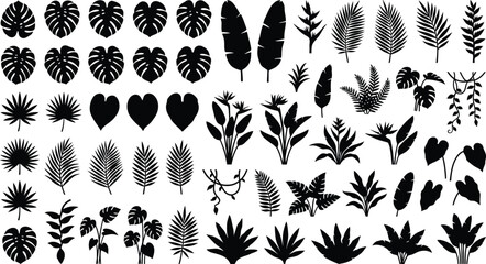 Collection of black silhouette tropical leaves and plants on white background, black and white monstera © GR Graphics