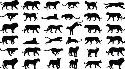 Collection of black silhouettes of big cats and lynx in various poses lion tiger leopard jaguar cheetah © GR Graphics