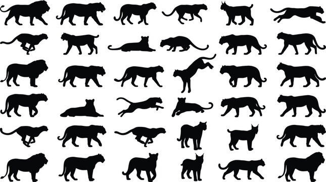 Collection of black silhouettes of big cats and lynx in various poses lion tiger leopard jaguar cheetah