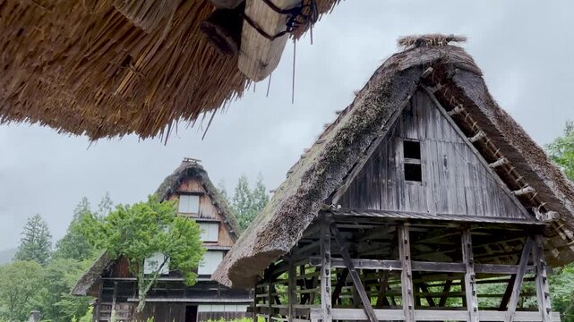 Traditional Gassho-zukuri houses in rainy Shirakawa-go village with misty mountains, slow tilt down shot, Japan