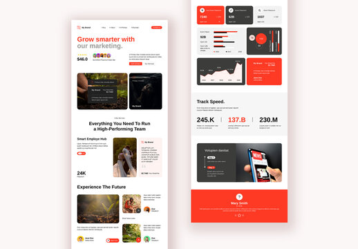 Email News Letter Layout